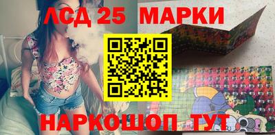 apvp Бийск