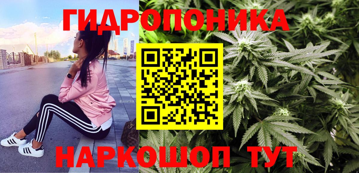 Бошки Шишки индика Гатчина