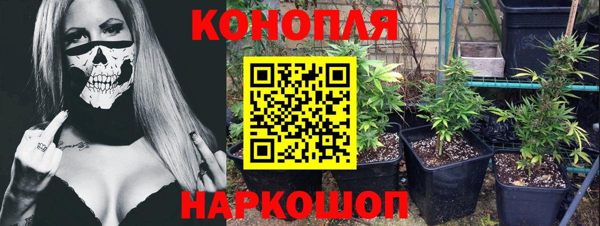 Бошки Шишки ГИДРОПОН  Вход с VPN  Гатчина  Бошки марихуана Amnesia  Бошки марихуана Ganja 